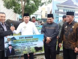 Pemprov Maluku Salurkan 155 Hewan Kurban di Idul Adha 1445 H